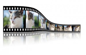 Videos umwandeln - Quelle: pixabay.com